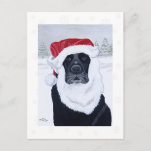 Black Labrador Snowflakes Weihnachtskarten Feiertagspostkarte