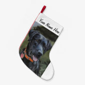 Black Labrador Strumpf Kleiner Weihnachtsstrumpf (Vorderansicht (hängend))