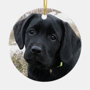Black Labrador Weihnachtsschmuck