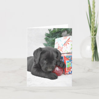 Black Labrador Welpe mit Weihnachtsgeschenken Dankeskarte