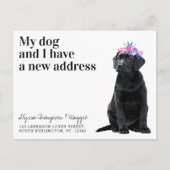 Black Labrador Wir haben den neuen Adresshund vers Postkarte (Vorderseite)
