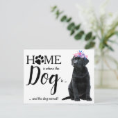 Black Labrador Wir haben die Ankündigung über die  Postkarte (Stehend Vorderseite)