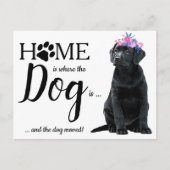 Black Labrador Wir haben die Ankündigung über die  Postkarte (Vorderseite)
