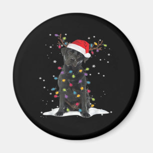 Black Labrador Xmas Hund Weihnachtsbaum Light Clas Magnet