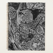 Black leafs planer (Vorderseite)