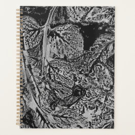 Black leafs planer