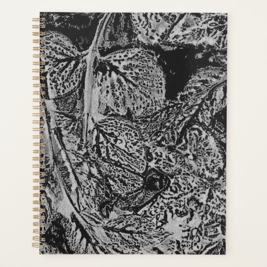 Black leafs planer (Vorderseite)