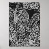 Black leafs poster (Vorne)