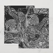 Black leafs postkarte (Vorne/Hinten)