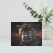 Black Leopard Big Cat Postkarte (Stehend Vorderseite)