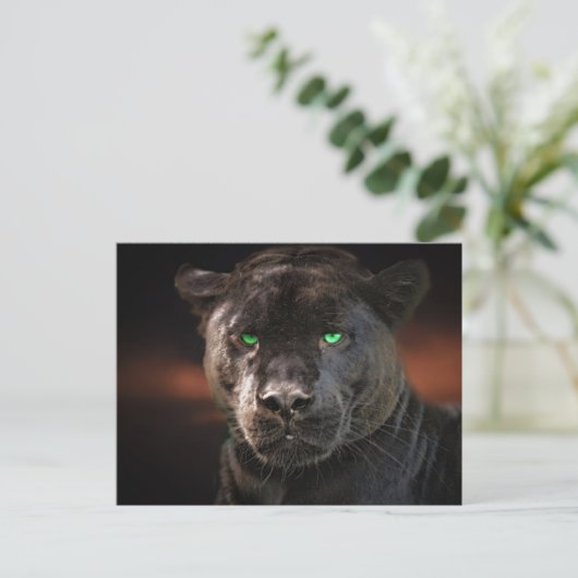 Black Leopard Big Cat Postkarte (Stehend Vorderseite)