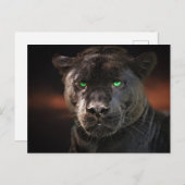 Black Leopard Big Cat Postkarte (Vorne/Hinten)