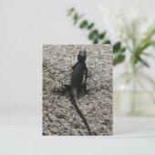 Black Lizard (Stehend Vorderseite)
