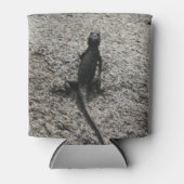 Black Lizard Dosenkühler (Vorderseite)