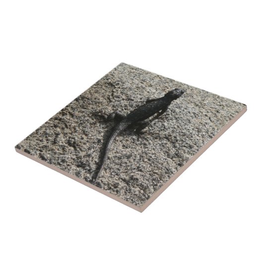 Black Lizard Fliese (Seite)