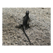 Black Lizard Fotodruck (Vorne)