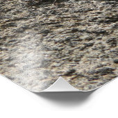 Black Lizard Fotodruck (Ecke)