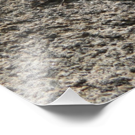 Black Lizard Fotodruck (Ecke)