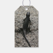 Black Lizard Geschenkanhänger (Vorderseite)