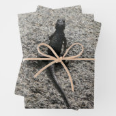 Black Lizard Geschenkpapier Set (Beispiel)