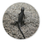 Black Lizard Keramikknauf (Vorderseite)