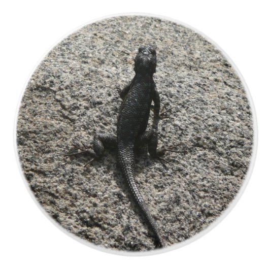 Black Lizard Keramikknauf (Vorderseite)