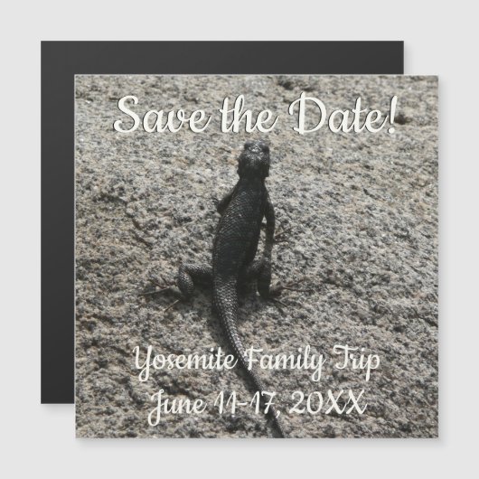 Black Lizard Magnetkarte (Vorne/Hinten)