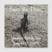 Black Lizard Magnetkarte (Vorderseite)