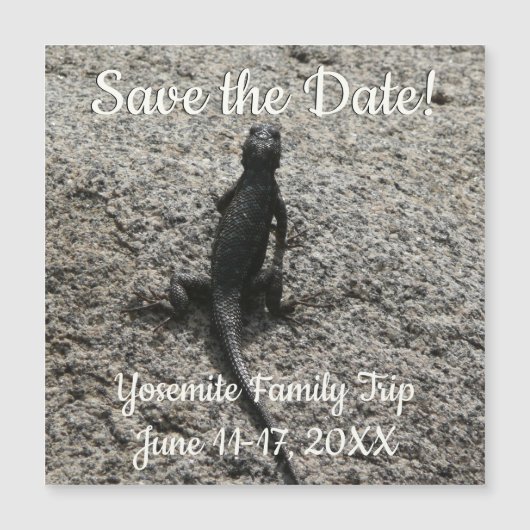 Black Lizard Magnetkarte (Vorderseite)