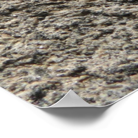 Black Lizard Poster (Ecke)