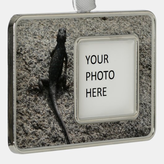 Black Lizard Rahmen-Ornament Silber (Rechts)