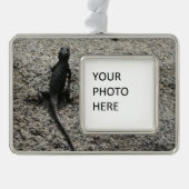 Black Lizard Rahmen-Ornament Silber (Vorderseite)