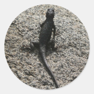 Black Lizard Runder Aufkleber