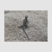 Black Lizard Seidenpapier (Vorderseite)