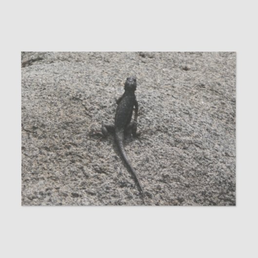 Black Lizard Seidenpapier (Vorderseite)
