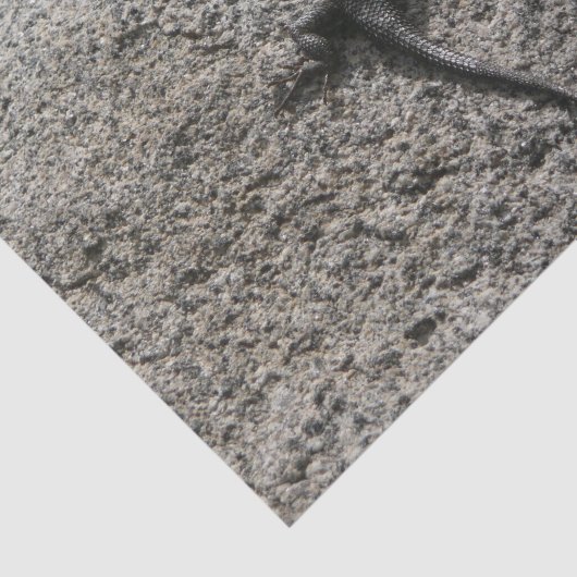 Black Lizard Seidenpapier (Ausschnitt)