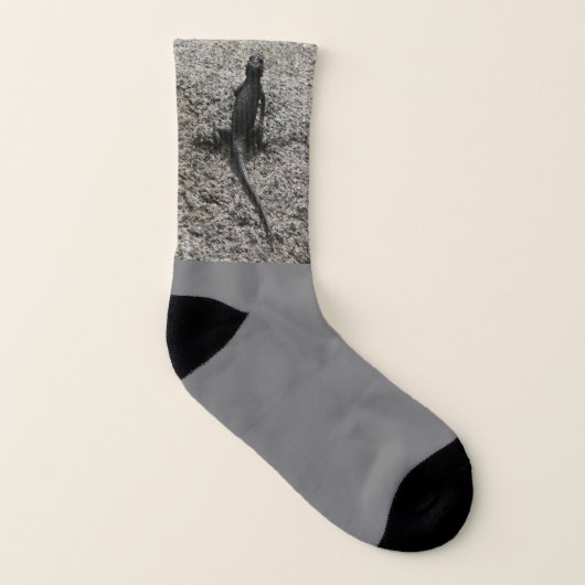 Black Lizard Socken (Links - Innen)