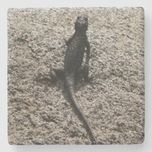 Black Lizard Steinuntersetzer (Vorderseite)