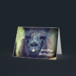 Black Llama Animal Funny Birthday  Karte<br><div class="desc">Niedliches schwarzes Lamm steht nah.  Landwirtschaftliche Tierfotografie von Susan.  Klicken Sie auf Anpassen,  um Text hinzuzufügen und Schriftart,  Stil und Farbe zu ändern.</div>