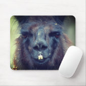 Black Llama Face Animal Mousepad (Mit Mouse)