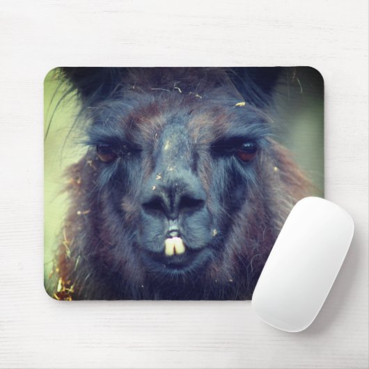 Black Llama Face Animal Mousepad (Mit Mouse)