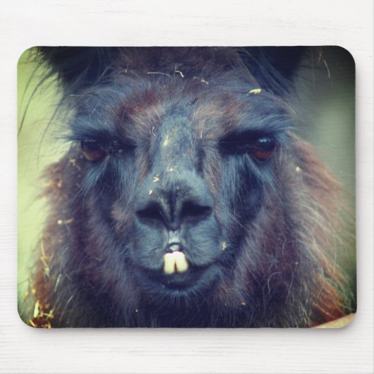 Black Llama Face Animal Mousepad (Vorne)