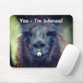 Black Llama I'm Intense Funny Animal Mousepad (Mit Mouse)