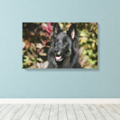 Black Long Haired German Shepherd Leinwanddruck (Insitu (Holzboden))