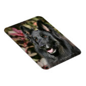 Black Long Haired German Shepherd Magnet (Rechte Seite)