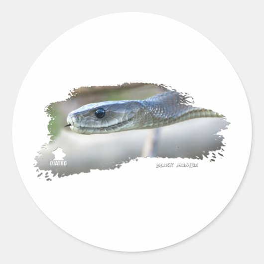 Black Mamba Runder Aufkleber (Vorderseite)