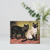 Black Mank und Royal Siamese Cat Postkarte (Stehend Vorderseite)