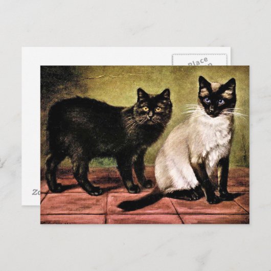 Black Mank und Royal Siamese Cat Postkarte (Vorne/Hinten)