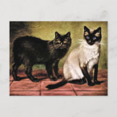 Black Mank und Royal Siamese Cat Postkarte (Vorderseite)