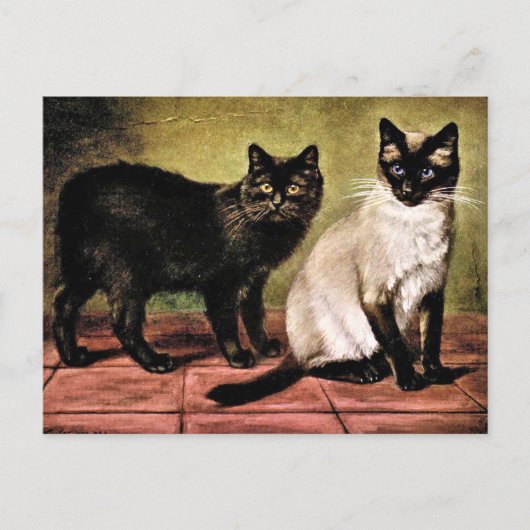 Black Mank und Royal Siamese Cat Postkarte (Vorderseite)
